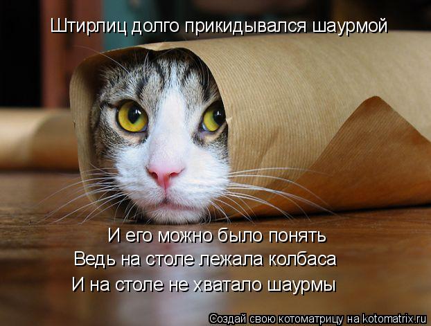 Котоматрица: Штирлиц долго прикидывался шаурмой И его можно было понять И на столе не хватало шаурмы Ведь на столе лежала колбаса