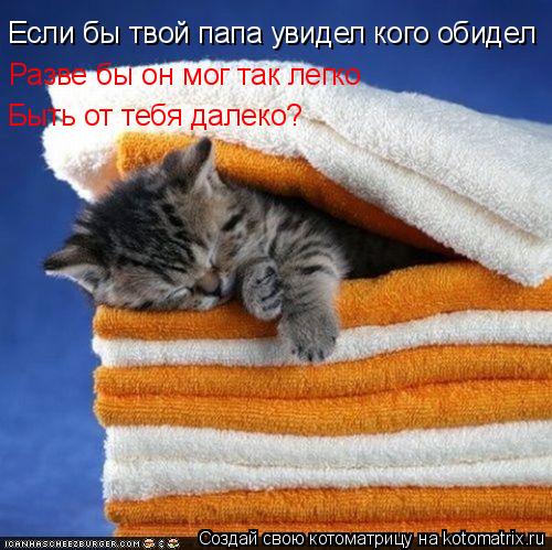 Котоматрица: Если бы твой папа увидел кого обидел Разве бы он мог так легко Быть от тебя далеко?