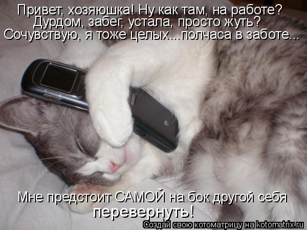 Привет, хозяюшка! Ну как там, на работе? Дурдом, забег, устала, просто жуть? Сочувствую, я тоже целых... Котоматрица: Привет, хозяюшка! Ну как там, на работе? Дурдом, забег, устала, просто жуть? Сочувствую, я тоже целых...полчаса в заботе... Мне предстоит САМОЙ н