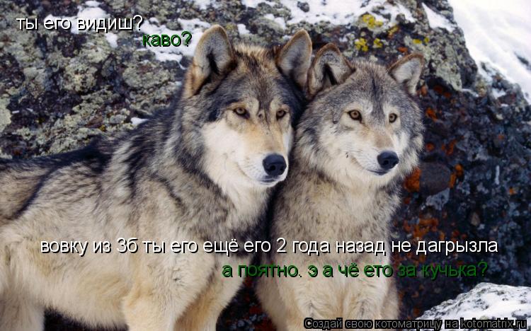 Котоматрица: ты его видиш? каво? вовку из 3б ты его ещё его 2 года назад не дагрызла а поятно. э а чё ето за кучька?