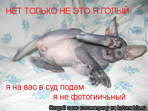 Котоматрица: НЕТ ТОЛЬКО НЕ ЭТО Я ГОЛЫЙ я на вас в суд подам я не фотогиичьный