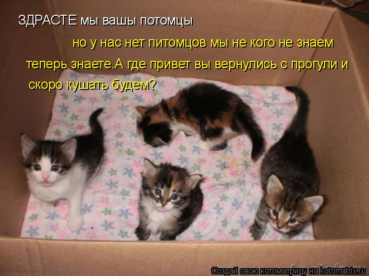 Котоматрица: ЗДРАСТЕ мы вашы потомцы но у нас нет питомцов мы не кого не знаем теперь знаете.А где привет вы вернулись с прогули и  скоро кушать будем?