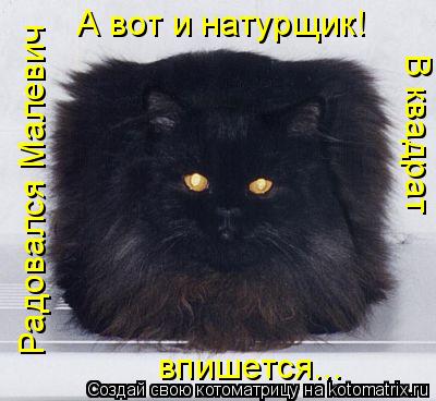 Котоматрица: А вот и натурщик! Радовался Малевич В квадрат впишется...