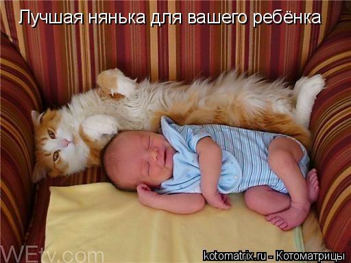 Котоматрица: Лучшая нянька для вашего ребёнка