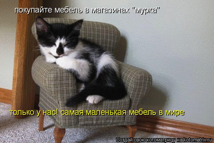 Котоматрица: покупайте мебель в магазинах "мурка" только у нас! самая маленькая мебель в мире