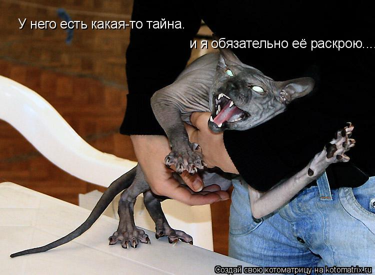 Котоматрица: У него есть какая-то тайна. и я обязательно её раскрою....