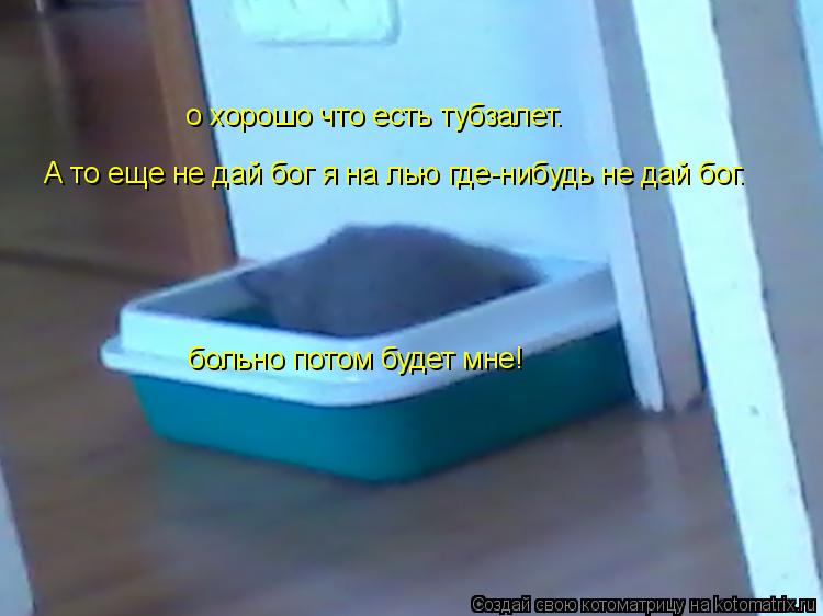 Котоматрица: о хорошо что есть тубзалет. А то еще не дай бог я на лью где-нибудь не дай бог. больно потом будет мне!