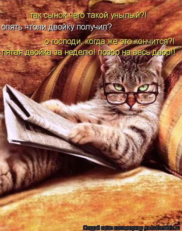 Котоматрица: так сынок чего такой унылый?! опять чтоли двойку получил? о господи, когда же это кончится?! пятая двойка за неделю! позор на весь двор!! пятая 