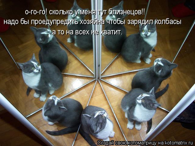 Котоматрица: о-го-го! сколько у меня тут близнецов!! надо бы проедупредить хозяйна чтобы зарядил колбасы а то на всех не хватит.