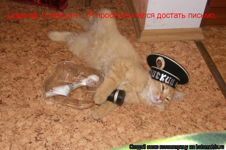 Котоматрица: Дорогая, я не пьян.... Я просто пытался достать письмо..