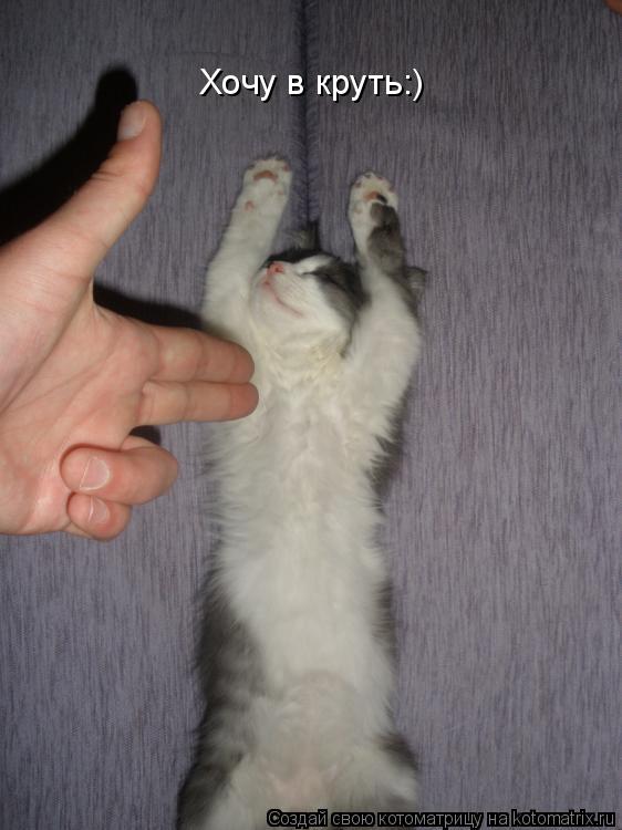 Котоматрица: Хочу в круть:)