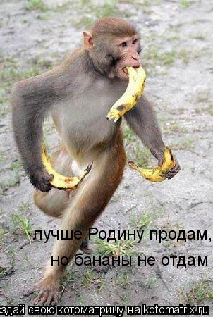 Котоматрица: лучше Родину продам, но бананы не отдам