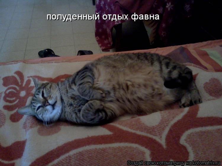 Котоматрица: полуденный отдых фавна