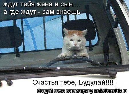 Котоматрица: ждут тебя жена и сын.... а где ждут - сам знаешь Счастья тебе, Будулай!!!!!