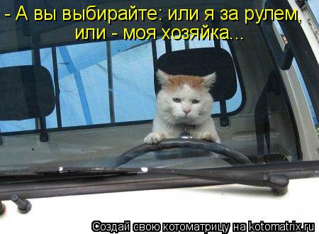 Котоматрица: - А вы выбирайте: или я за рулем, или - моя хозяйка...