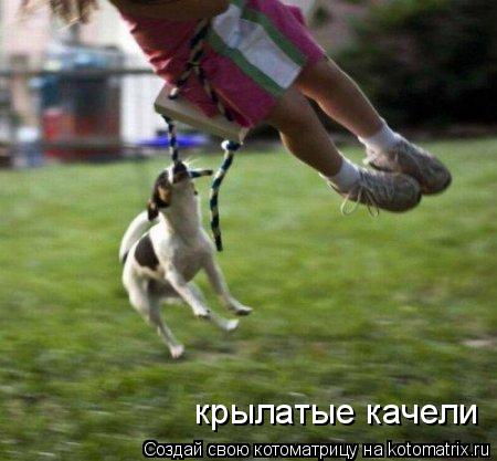 Котоматрица: крылатые качели