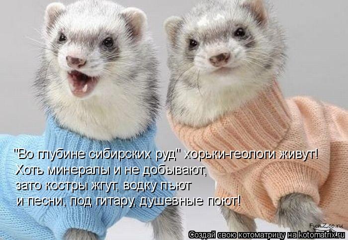 Котоматрица: "Во глубине сибирских руд" хорьки-геологи живут! Хоть минералы и не добывают,  зато костры жгут, водку пъют  и песни, под гитару, душевные поют