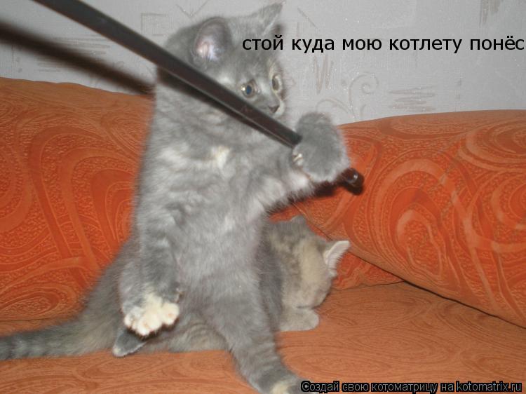 Котоматрица: стой куда мою котлету понёс