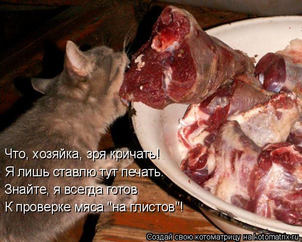 Котоматрица: Что, хозяйка, зря кричать! Я лишь ставлю тут печать.    Знайте, я всегда готов  К проверке мяса "на глистов"!