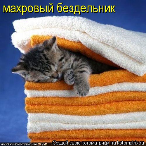 махровый бездельник... Котоматрица: махровый бездельник