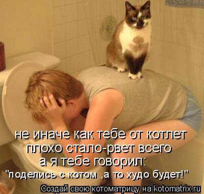 Котоматрица: не иначе как тебе от котлет плохо стало-рвет всего а я тебе говорил: "поделись с котом ,а то худо будет!"