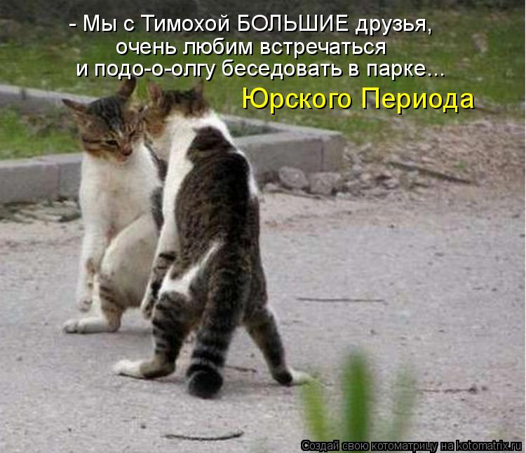 Котоматрица: очень любим встречаться и подо-о-олгу беседовать в парке... Юрского Периода - Мы с Тимохой БОЛЬШИЕ друзья,