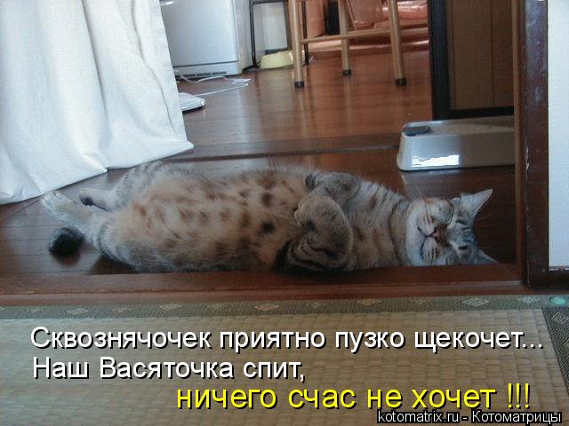 Котоматрица: Сквознячочек приятно пузко щекочет... Наш Васяточка спит, ничего счас не хочет !!!