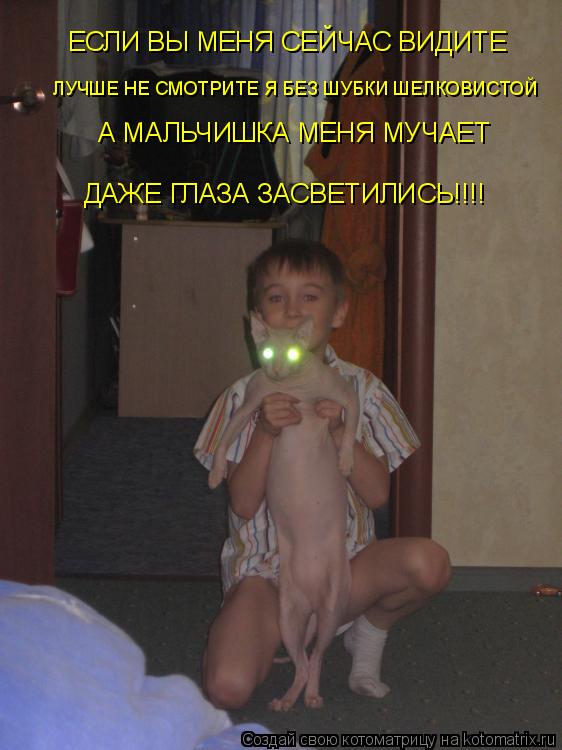 Котоматрица: ЕСЛИ ВЫ МЕНЯ СЕЙЧАС ВИДИТЕ  ЛУЧШЕ НЕ СМОТРИТЕ Я БЕЗ ШУБКИ ШЕЛКОВИСТОЙ А МАЛЬЧИШКА МЕНЯ МУЧАЕТ ДАЖЕ ГЛАЗА ЗАСВЕТИЛИСЬ!!!!
