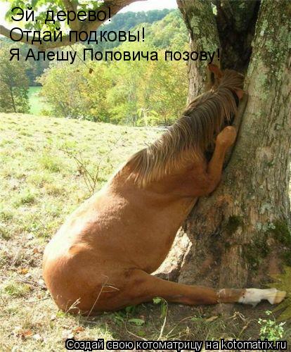 Котоматрица: Эй, дерево!  Отдай подковы! Я Алешу Поповича позову!