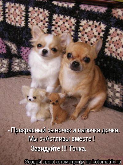 Котоматрица: - Прекрасный сыночек и лапочка дочка. Мы счАстливы вместе ! Завидуйте !!! Точка.