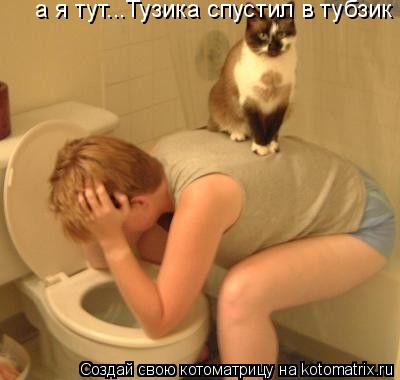 Котоматрица: а я тут...Тузика спустил в тубзик