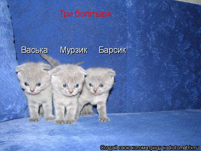 Котоматрица: Три богатыря Васька     Мурзик     Барсик