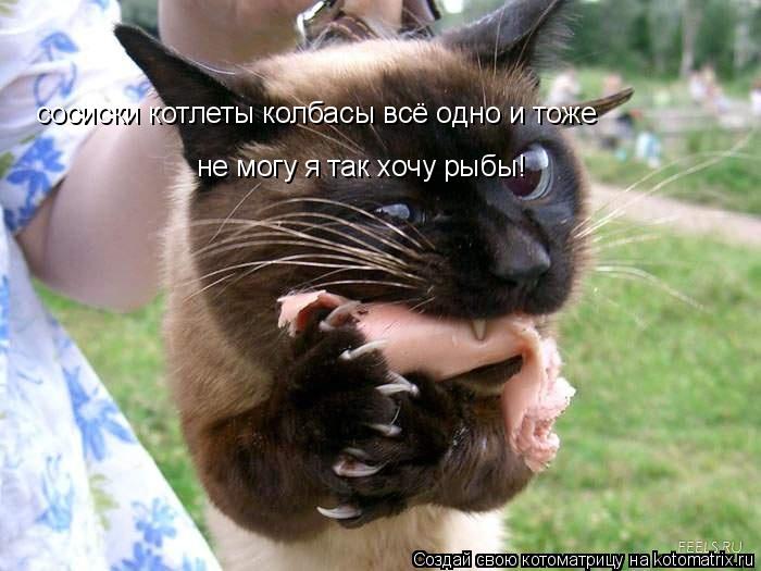 Котоматрица: сосиски котлеты колбасы всё одно и тоже не могу я так хочу рыбы!