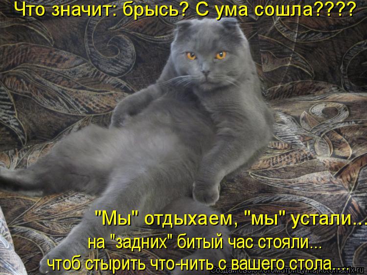 Что значит: брысь? С ума сошла???? "Мы" отдыхаем, "мы" устали... на "задних" битый час стояли... что... Котоматрица: Что значит: брысь? С ума сошла???? "Мы" отдыхаем, "мы" устали... на "задних" битый час стояли... чтоб стырить что-нить с вашего стола....