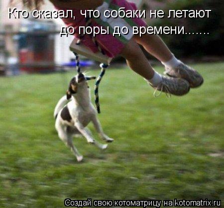 Кто сказал, что собаки не летают до поры до времени.......... Котоматрица: Кто сказал, что собаки не летают до поры до времени.......