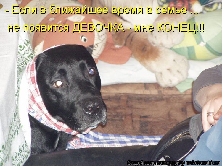 - Если в ближайшее время в семье ... не появится ДЕВОЧКА - мне КОНЕЦ!!!... Котоматрица: - Если в ближайшее время в семье ... не появится ДЕВОЧКА - мне КОНЕЦ!!!