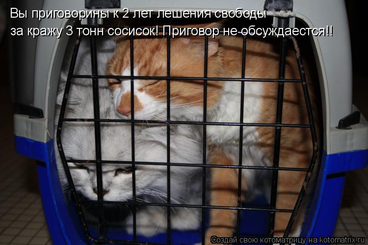 Вы приговорины к 2 лет лешения свободы за кражу 3 тонн сосисок! Приговор не обсуждаестся!!... Котоматрица: Вы приговорины к 2 лет лешения свободы за кражу 3 тонн сосисок! Приговор не обсуждаестся!!