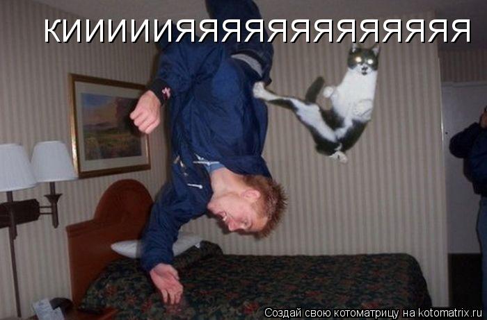 Котоматрица: КИИИИИЯЯЯЯЯЯЯЯЯЯЯЯЯ