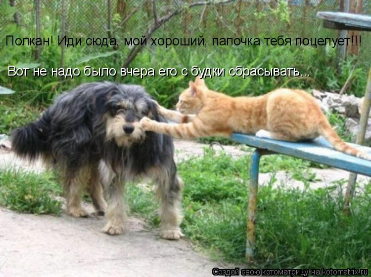 Котоматрица: Полкан! Иди сюда, мой хороший, папочка тебя поцелует!!! Вот не надо было вчера его с будки сбрасывать...