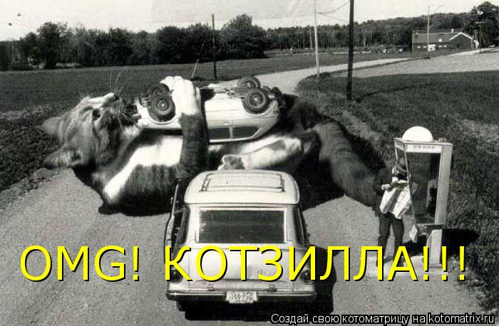 Котоматрица: OMG! КОТЗИЛЛА!!!