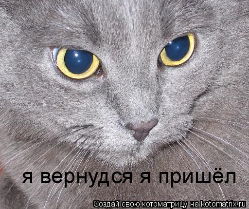 Котоматрица: я вернудся я пришёл
