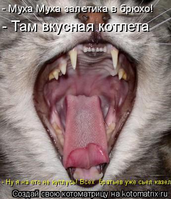Котоматрица: - Муха Муха залетика в брюхо! - Ну я на ето не куплусь! Всех  братьев уже сьел казел! - Там вкусная котлета