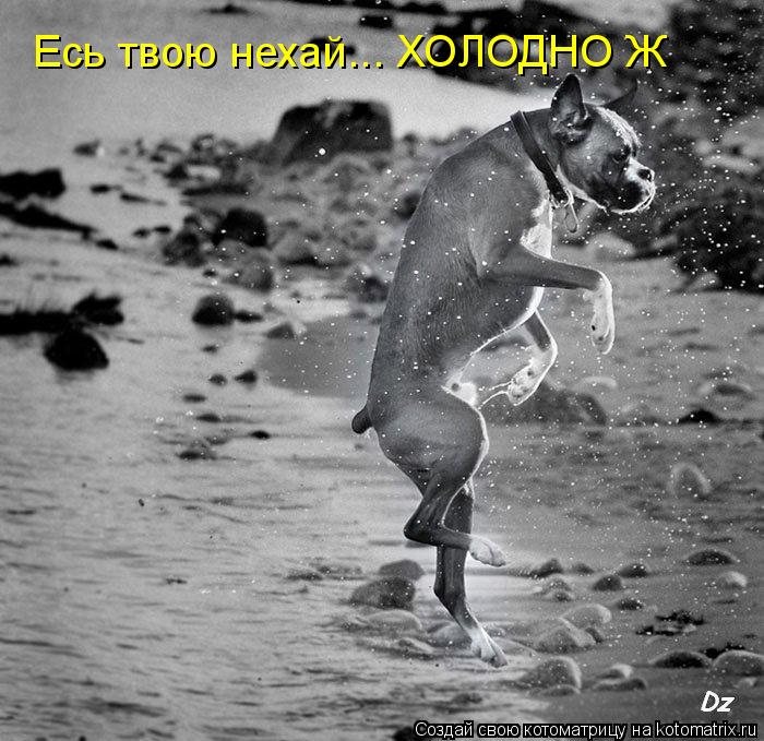 Котоматрица: Есь твою нехай... ХОЛОДНО Ж