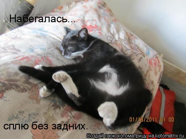 Котоматрица: Набегалась... сплю без задних.