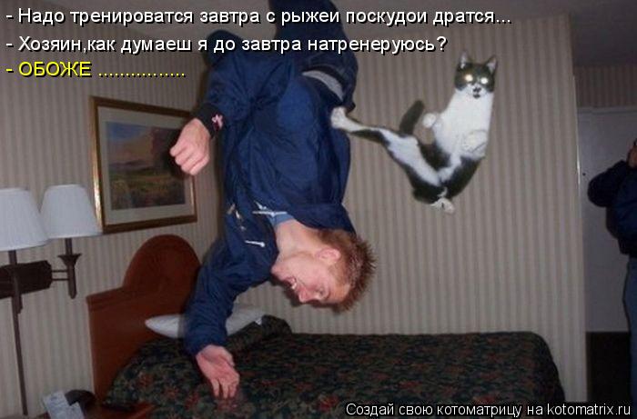 Котоматрица: - Надо тренироватся завтра с рыжеи поскудои дратся... - Хозяин,как думаеш я до завтра натренеруюсь? - ОБОЖЕ ................