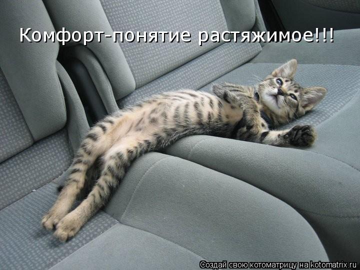 Котоматрица: Комфорт-понятие растяжимое!!!