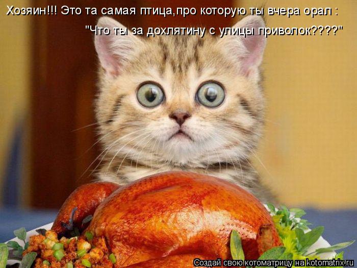 Хозяин!!! Это та самая птица,про которую ты вчера орал : "Что ты за дохлятину с улицы приволок????"... Котоматрица: Хозяин!!! Это та самая птица,про которую ты вчера орал : "Что ты за дохлятину с улицы приволок????"