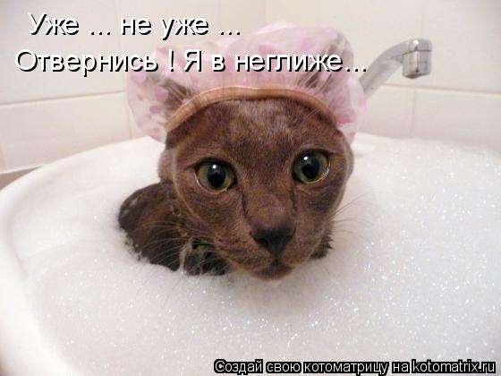 Котоматрица: Уже ... не уже ... Отвернись ! Я в неглиже...
