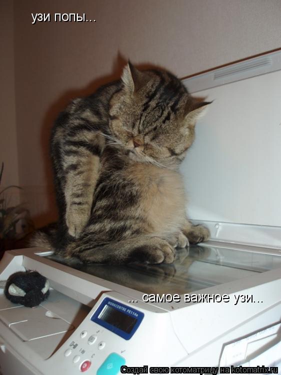 Котоматрица: узи попы... ... самое важное узи...