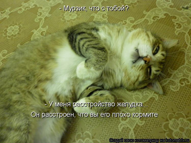 Котоматрица: - Мурзик, что с тобой? - У меня расстройство желудка... Он расстроен, что вы его плохо кормите